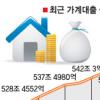 DTI 평가때 소득 외 자산도 포함 추진