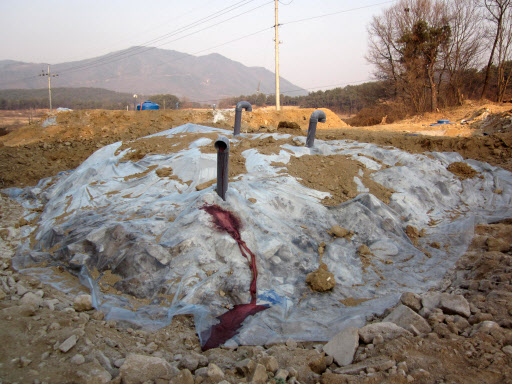 구제역 매몰지에서 흘러나온 핏물   경기도 이천시 율면 월포리 구제역 돼지 매몰현장. 매몰지 내부에서 가스배출관을 타고 핏물이 흘러나온 흔적이 보인다. 이는 부패로 팽창한 사체에서 나온 핏물이 매립지 내부 압력을 견디지 못해 침출수 배출용 유공관이 아닌 가스배출관으로 분출된 것으로 추정된다. 이천=연합뉴스