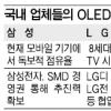 삼성-LG 이번엔 OLED 승부수
