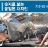 집에 돌아왔지만 외출은… 주인 잃은 개들만 거리 헤매