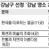 강남구 명소 화보·지도로 본다