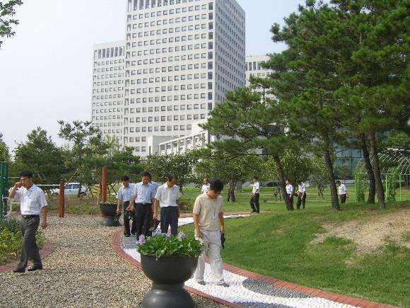 정부 외청들이 모여있는 대전정부종합청사. 공무원들의 점심을 먹은 뒤 산책을 하고 있다. 서울신문 포토라이브러리