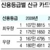 저신용자 발급 39%↑… 카드대란 경고음?