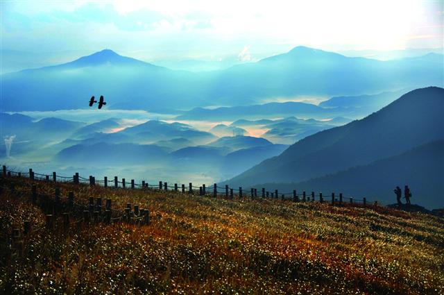 19일 울산 울주군 간월재에서 바라본 영남알프스. 흐드러지게 핀 들꽃들이 겹겹이 펼쳐진 산, 푸른 하늘과 어우러져 낯선 손님을 유혹한다. 울산시 제공