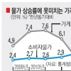 중산층 적자가구 25.8% 사상 최고치