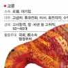 고위공직자서 기업 고문(顧問)으로… 카멜레온 같은 그들의 세계