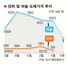 중간상 횡포에 마늘농민 울상