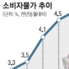 5월 소비자물가 4.1% 상승