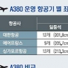 [하늘 위 특급호텔 A380] ‘몸값 4125억원’ A380 경제학
