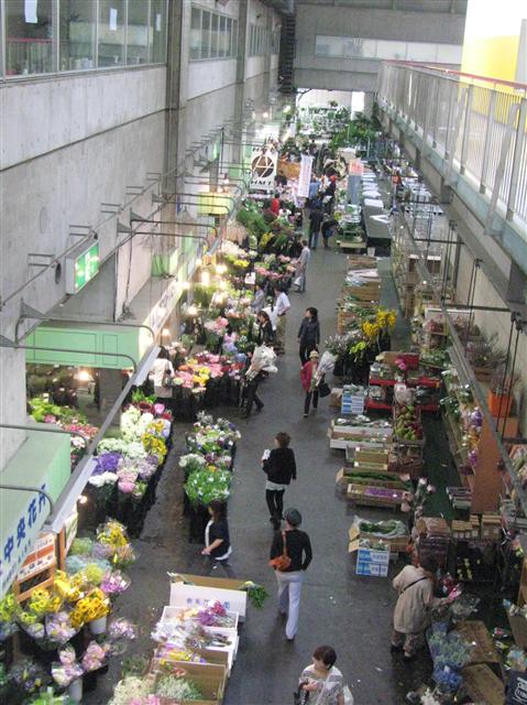 일본 도쿄 오타구 오타화훼경매시장 옆 도매상가에서 소비자들이 꽃을 둘러보고 있다.