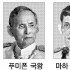 태국 왕가 대 끊길 판