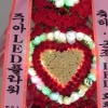 “어? 화환이 반짝반짝 하네”··· ‘천의 얼굴’ LED 화환 시장 확대