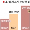 소·돼지고기 수입 크게 늘어