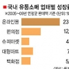 인터넷 쇼핑몰, 유통업계 신성장 동력으로
