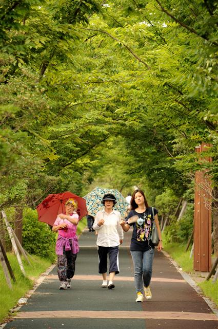 　경전선 철도의 외곽 이전으로 발생한 폐선부지에 조성된 광주 푸른길 도시숲은 옛 광주의 정취를 연출하면서 주민과 관광객들로부터 호응을 얻고 있다. 산림청 제공