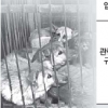[생각나눔 NEWS] 서울시내 한복판 개 도살장 논란
