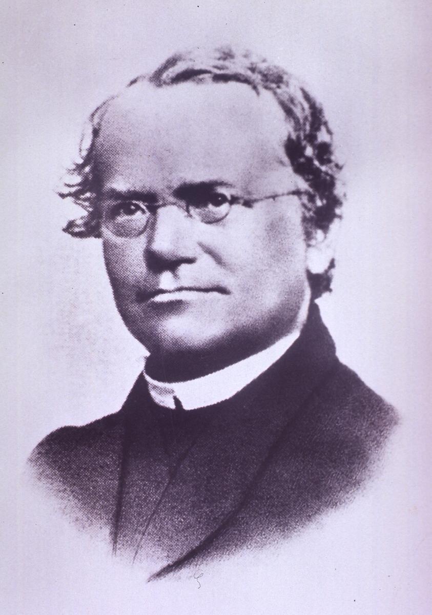 그레고어 요한 멘델(1822~1884)