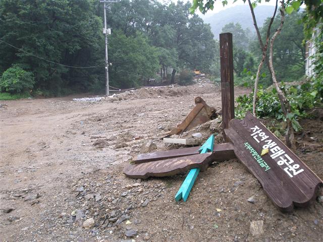 지난달 27일 폭우에 뻘밭으로 변한 우면산 자연생태공원 진입로의 모습. 