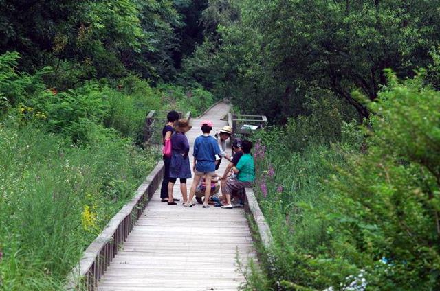 7일 길동자연생태공원의 나무다리 위에서 청소년들이 숲 해설가의 설명을 듣고 있다. 강동구 제공