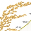 산지쌀값 고공행진… 왜?