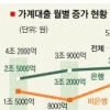 가계대출 증가제한 제2금융 확대