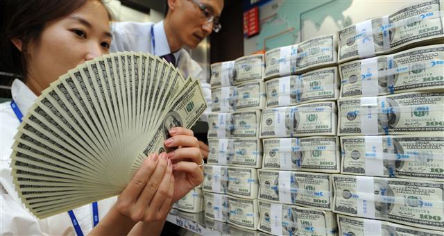 서울 중구 명동 외환은행 본점에서 직원들이 달러를 세고 있다. 서울신문 포토라이브러리