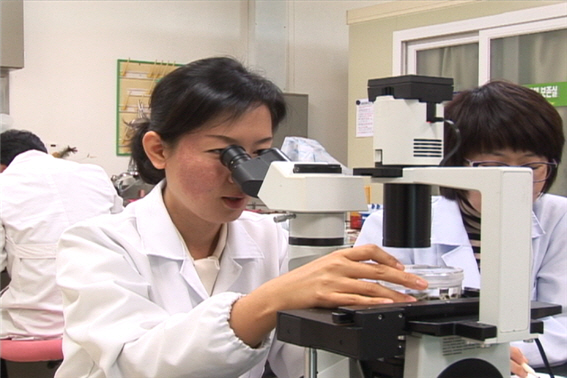 삼각김밥에 들어가는 일본산 방사무늬김을 대체할 신품종 개발에 열중하고 있는 박은정(왼쪽) 연구사가 김 사상체를 현미경으로 들여다보고 있다.