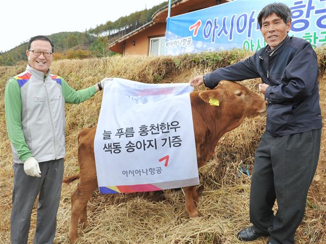 아시아나항공과 자매결연한 홍천군 외삼포 2리 산초울 마을에서 지난 22일 윤영두(왼쪽) 사장이 조손가정 아동들의 장학금 조성에 사용할 색동 송아지를 기증하고 있다.  아시아나항공 제공