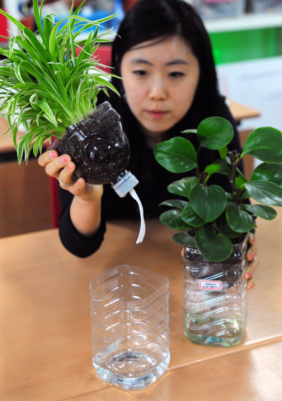 농진청 국립원예특작과학원에서 개발한 패트병화분은 재활용품을 이용한 사무공간 디자인 제품이다. 이종원 선임기자 jongwon@seoul.co.kr