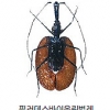 이런 곤충 보셨나요?