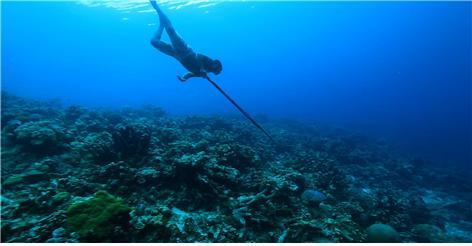 종(種)의 다양성을 간직하고 있는 술라웨시섬의 환경적·생태적인 의미를 조명한 KBS 1TV ‘환경스페셜’의 신년기획 3부작 ‘적도’의 한 장면.  KBS 제공