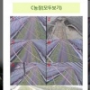 스마트폰 원격 농사… 전자교재로 공부
