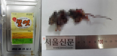 식품의약품안전청은 경북 경산시 소재 한 식품업체가 만든 24ℓ짜리 물엿제품에 쥐사체로 추정되는 이물질이 발견돼 해당제품에 대해 판매중단 및 회수조치를 취했다고 지난달 21일 밝혔다. 사진은 쥐사체 추정물질이 발견된 제품과 해당 이물질. 서울신문 포토라이브러리