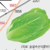 [Weekend inside] 올해 값 3배 뛰자 결국 ‘中배추 수입’