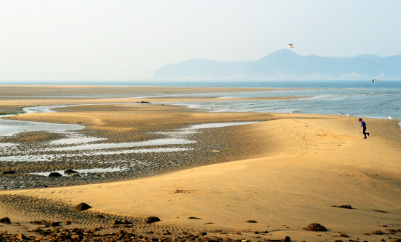 인적 드문 삽시도 수루미해변에서 섬소년이 혼자 놀이를 즐기고 있다.