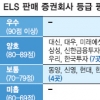 “ELS판매 손실가능액 설명 부족… 분쟁 소지”