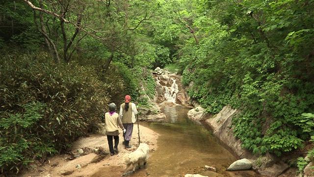 우리나라 최북단의 고장 강원도 고성의 풍경과 먹거리, 생활 환경 등을 소개한 EBS 한국 기행의 한 장면.  EBS 제공