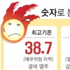 [기록적 폭염 전국 강타… ‘가마솥 더위’ 비상] 영주 38.7 경산 38.4… ‘펄펄 끓는 한반도’