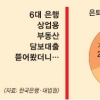 상가담보대출 196兆… 증가속도·연체율 ‘위험수위’