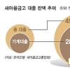 ‘LTV 사각’ 새마을금고, 실태조사서 빠져