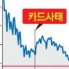 불량 대출자 1년새 80만명 쏟아져… 신용회복委서 만난 안타까운 사연들