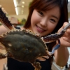 “첫 출하 꽃게 맛보세요”
