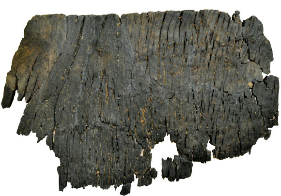 경북 울진군 죽변에서 발굴된 약 8000년 전 조기 신석기 시대에 사용된 판자형 나무배의 일부. 삼한문화재연구원은 낚시 도구들이 함께 나와 물고기 잡이 배로 사용됐을 것으로 추정된다며 땅 밑 180㎝에 묻혀 있었다고 27일 밝혔다.  울진 연합뉴스