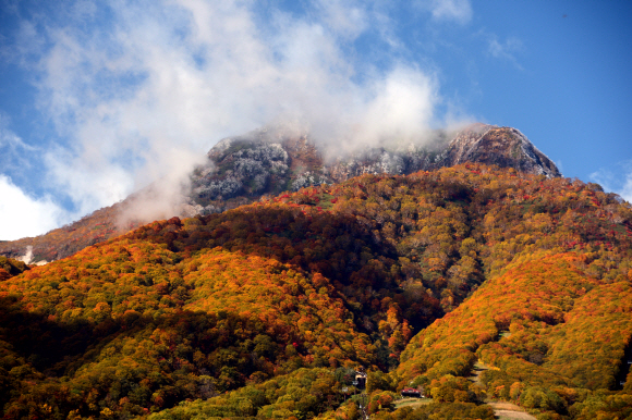 은은한 가을빛이 내려앉은 니가타현 묘코산.
