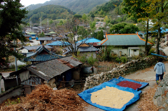 경주 김씨 집성촌인 경남 함양읍 ‘원산약초마을’. 1980~1990년대만 해도 지리산 자락에 위치한 이 마을엔 주민이 넘쳐 났으나 사람들이 하나둘씩 마을을 떠나면서 폐허로 변한 빈집만 늘어 가고 있다. 서울신문 포토라이브러리