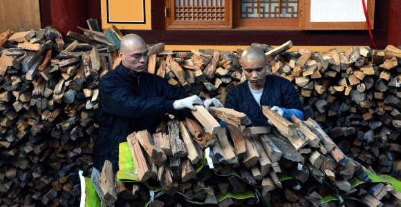 경남 양산 통도사 강원의 행자 스님들이 겨우내 연료로 쓰일 땔감인 장작을 쌓는 작업을 하고 있다.