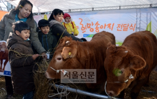 “음메~ 다문화 가정의 희망이 될게요”