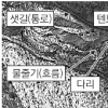美연구소 “北, 3차핵실험 준비 정황”