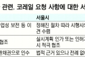 서울시 ‘용산 정상화 TF’… 시유지 무상귀속 검토