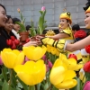 상큼 발랄 튤립축제 오세요